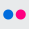 Flickr Icon